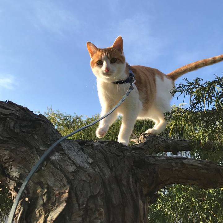 D7298a81 110a 4853 9536 b24b8364b070