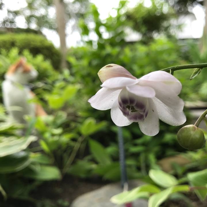 D72a04ce cb81 4c46 9b30 05965d5e8c00