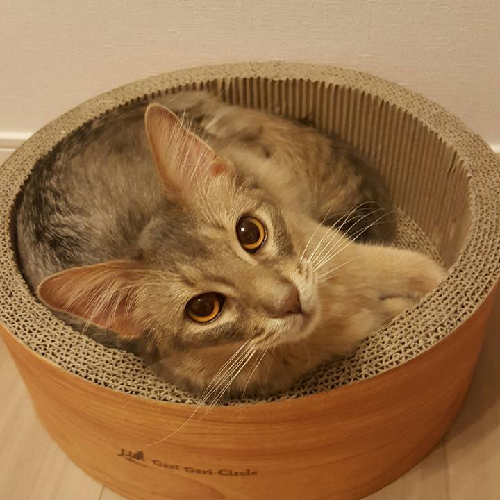 D72a19de 6f28 41a8 b918 d5583998953a