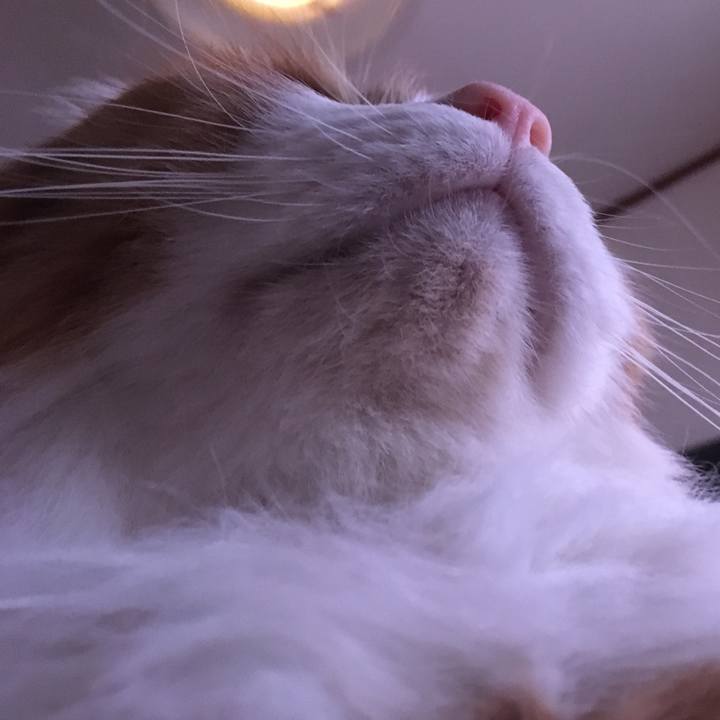 D72a3716 23cf 4ca2 90eb 7d6c71d223ec