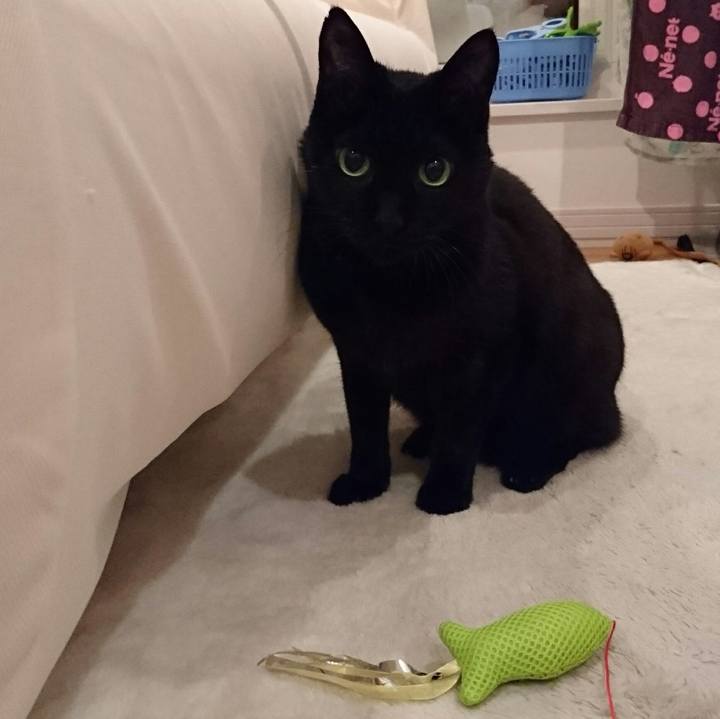 D72ad99a 80f8 406c b8b7 bf5ddeea7106