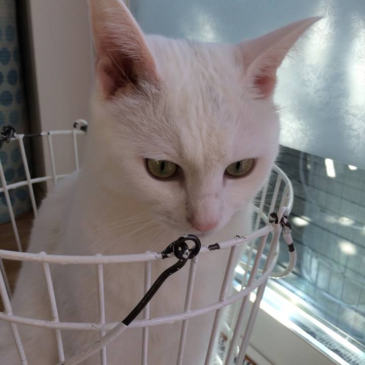 D72b3367 c3db 4464 b814 439bbd49a3e0