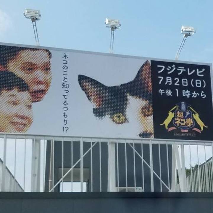 D72c133c 4f41 479e 88d6 200bb8e098e1