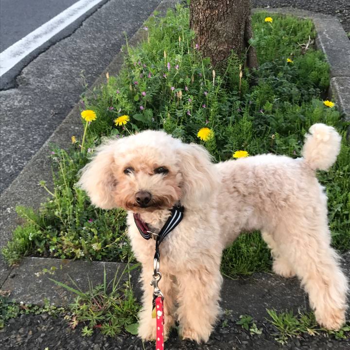 D72c1e03 1db6 45b3 a3f3 0ae5b2ff4a67