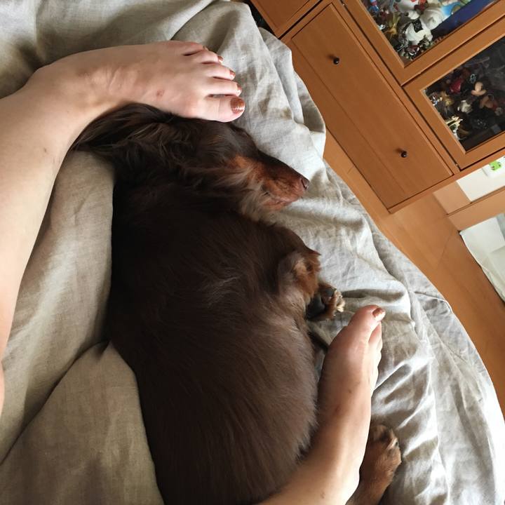 D72c4530 e865 4c09 a60c b409b2570988