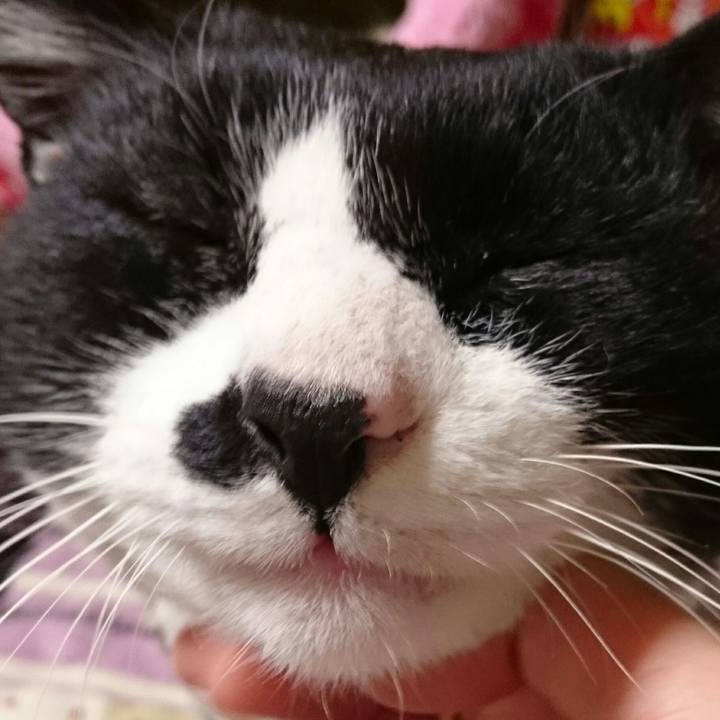 D72cd697 6dcc 404e a56d 1d41ab0ab066