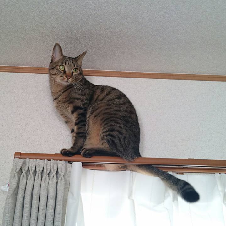 D72cec54 2d2f 4628 82d9 ed0cb8e38ac0