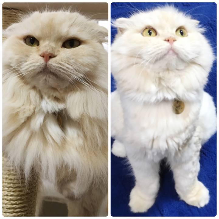 D72d765b e7f4 4bee 9c4a 2caacaa7b36a