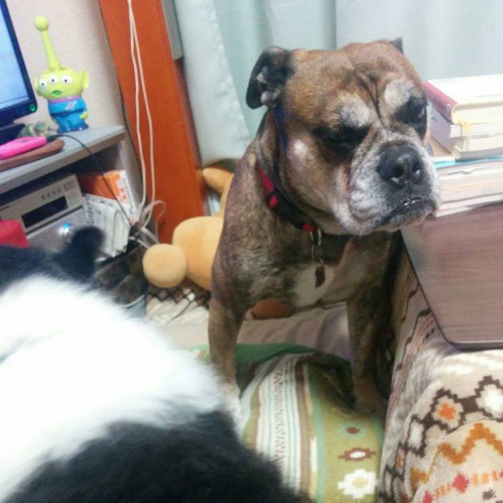 D72da67f a32c 4038 a391 036be89c99b3