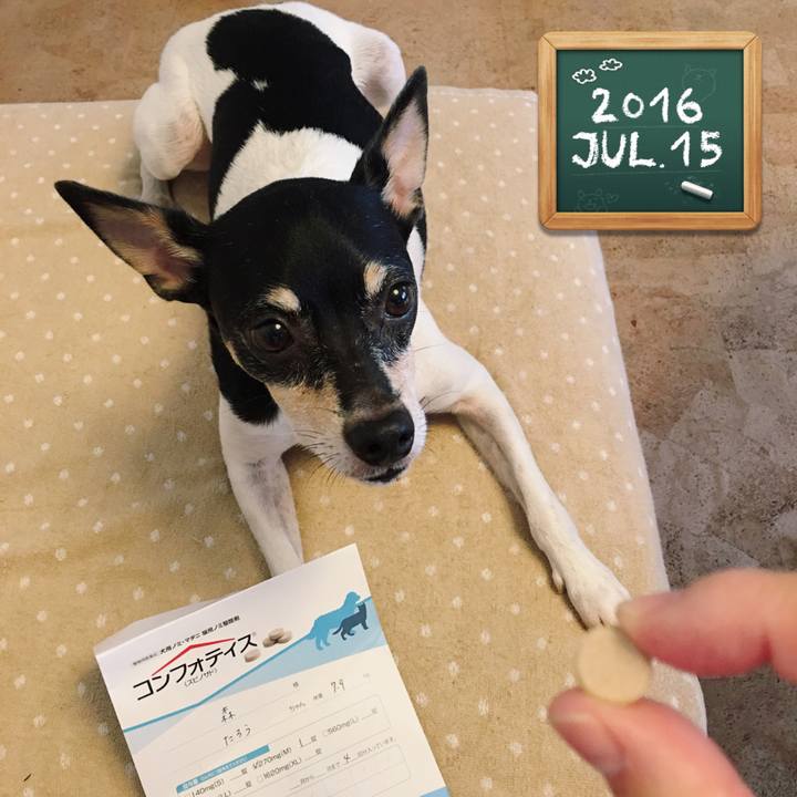 D72dc290 93f4 4654 afb7 90ac51375c67