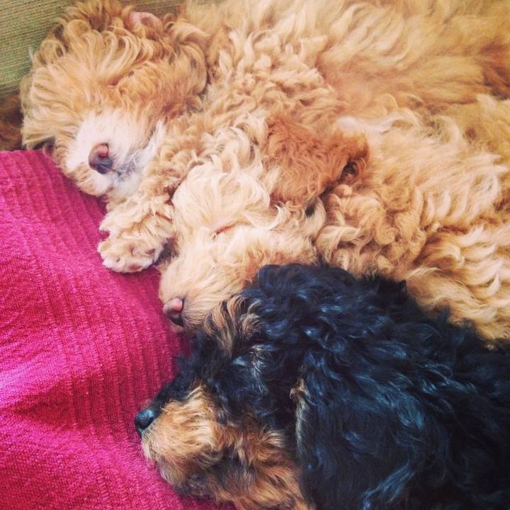 D72e252f dd3b 4f7a 930d ead273dadc60