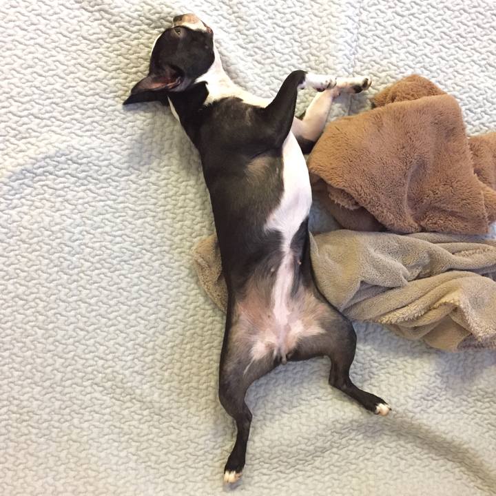 D72e8f7f a743 475a 930e 9252c852b3a5