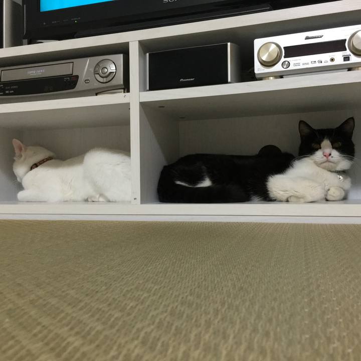 D72ea8de 5640 419f 81f2 3ca6562309f3