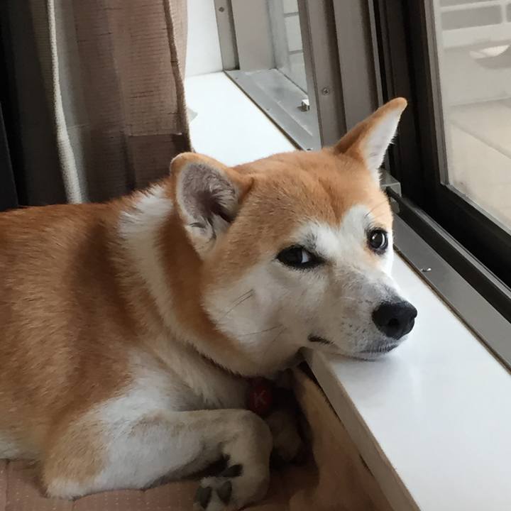 D72fd7f5 05d8 4aab 9006 447414b5a15e