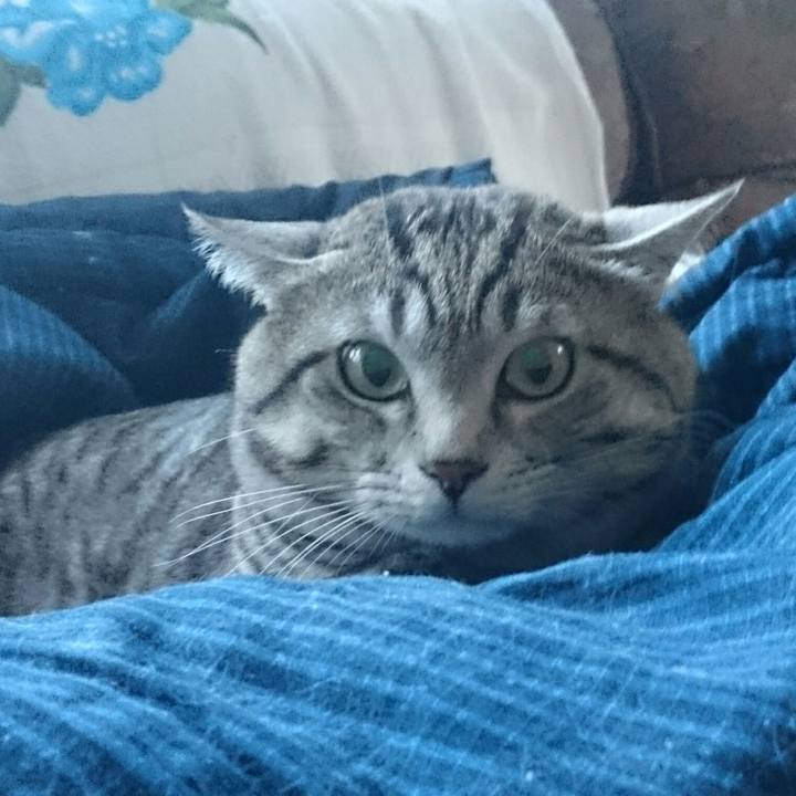 D72feb34 7aad 4e52 93ed bbc0b8cf7484