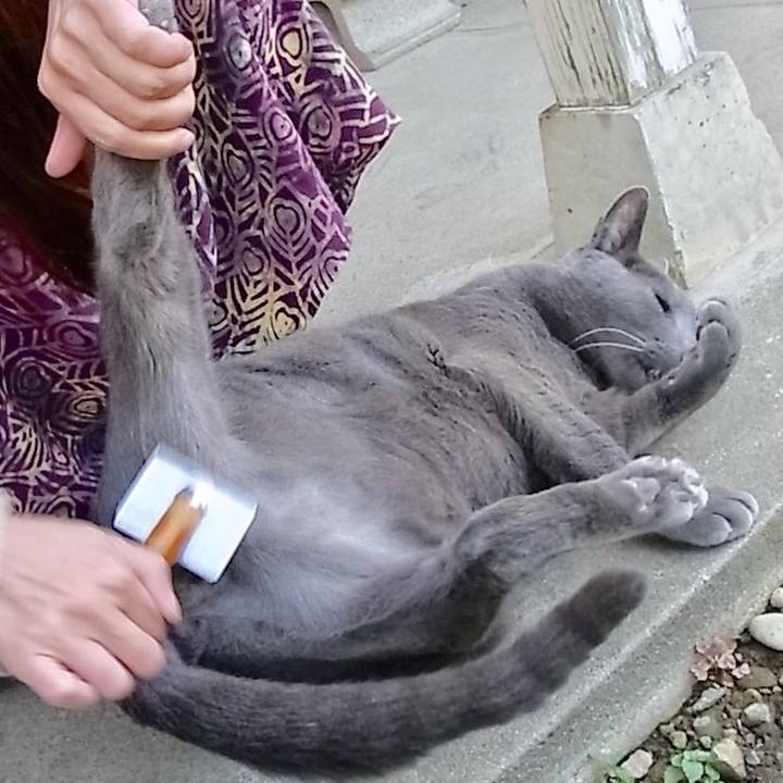 D7300675 4c28 462b 80c5 ad0fb9ab712d