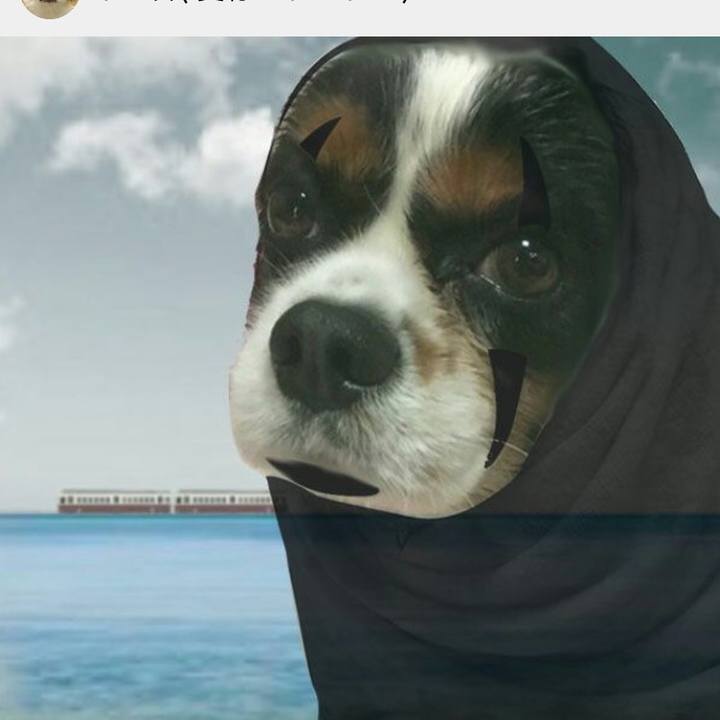 D7309db4 f3da 4770 a473 84c2bc4506bc