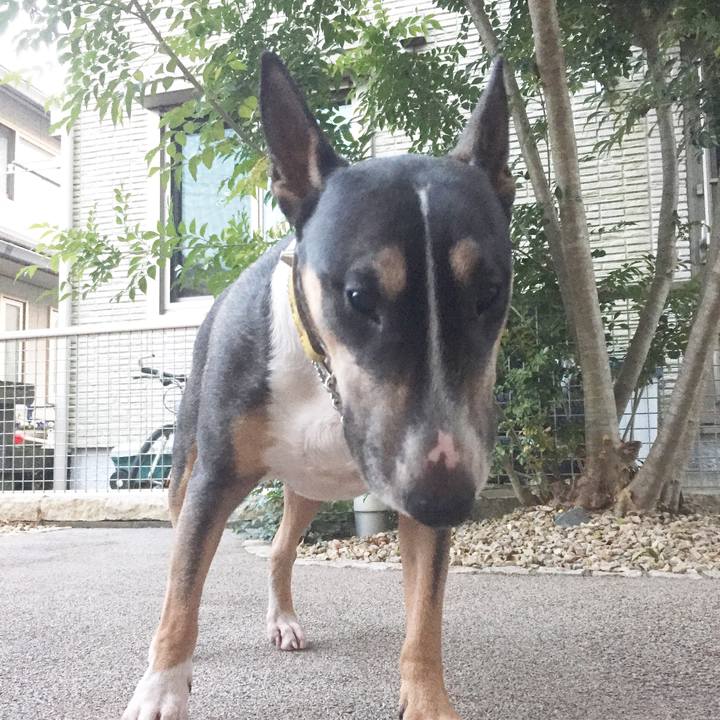 D7311a8d 1f1b 4783 bba2 a509607d98b8