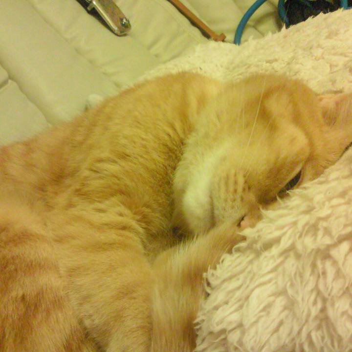 D731ec67 84e5 4f89 a65a db84b2cdc4a1