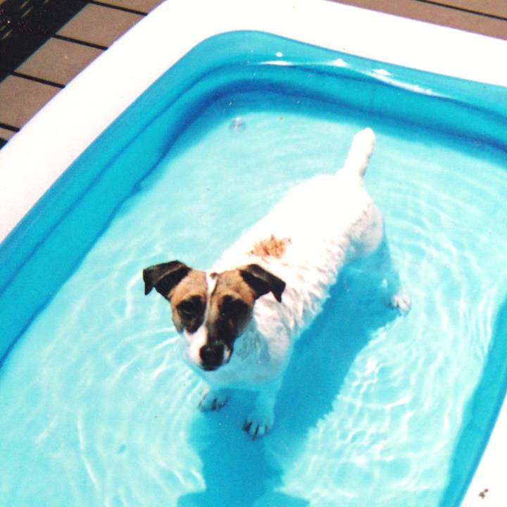 D7322357 93bb 4a4c 87e4 a22e6beb7285