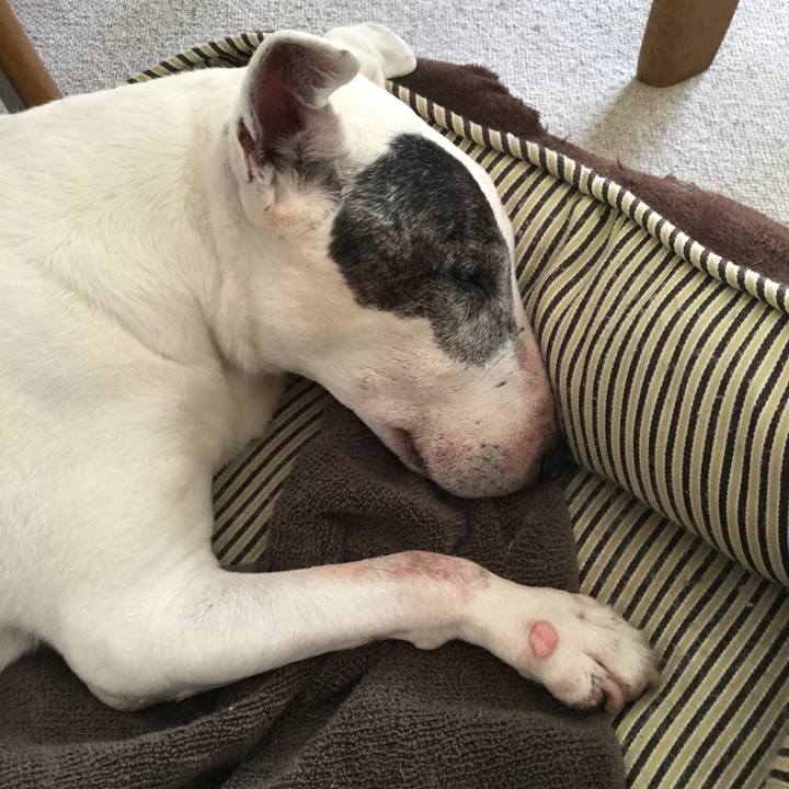 D73233ae 9e05 4a59 ac7b 00f76aea459b