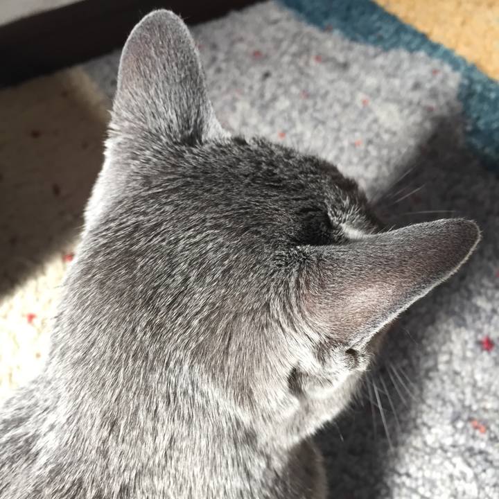 D7326a90 8d4e 44a2 a154 cc829603ba3d