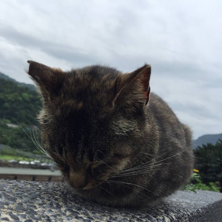 D7328654 4e5a 481c b1d0 2adf09eae1b3