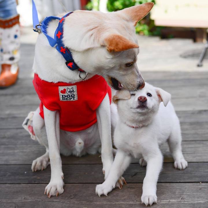 D732a9d2 5422 4d76 be52 8e1c2723a4f3