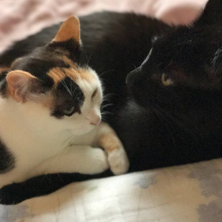 D73317f5 0e98 480d 88d2 e7cf615891c5