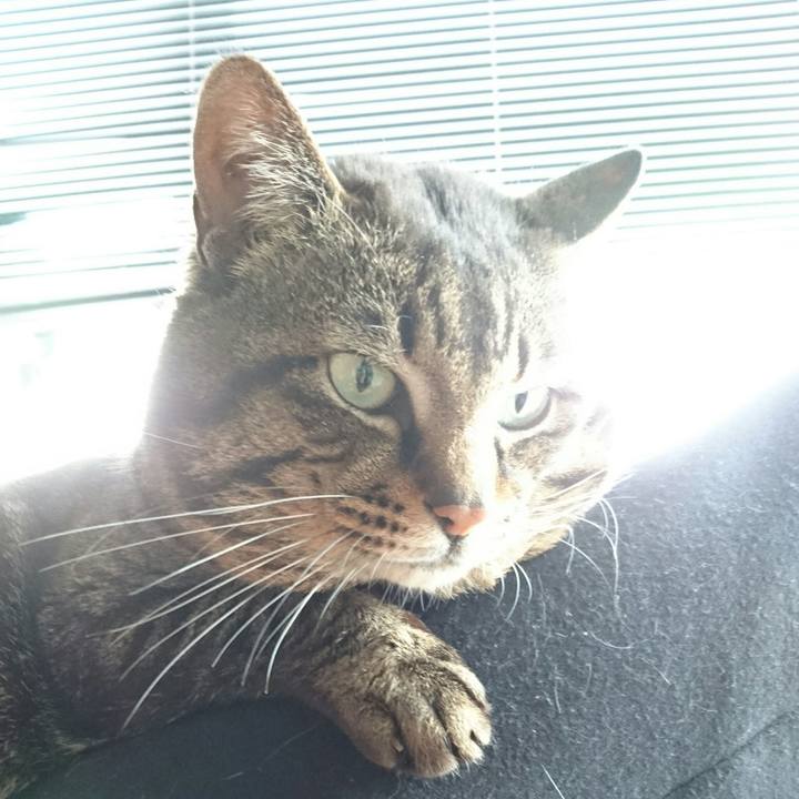 D733491c c728 41cb 801f 7f59d681fdbe