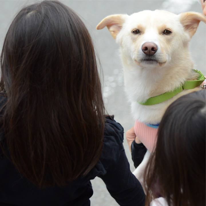 D734522a f173 420d 9440 f5e8e1854d15