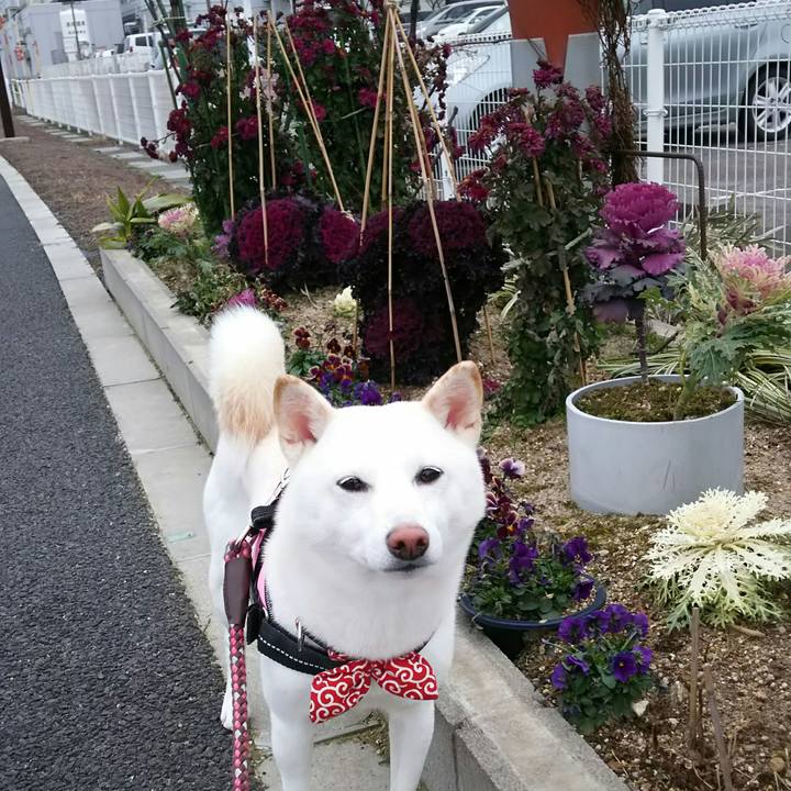 D7348083 c5a5 4eb2 8bb7 52a6b569358a