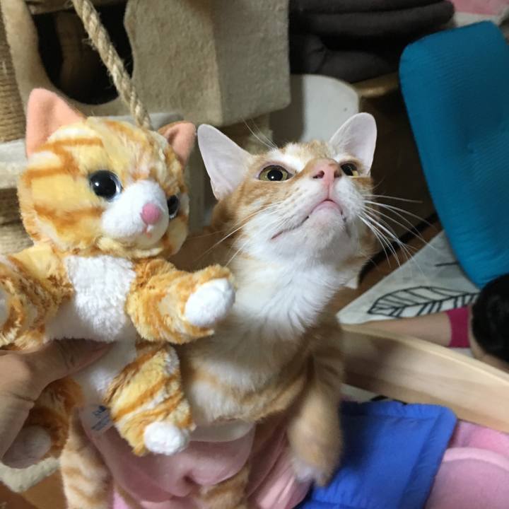 D734b65a 46e8 4859 a804 391b08b45226