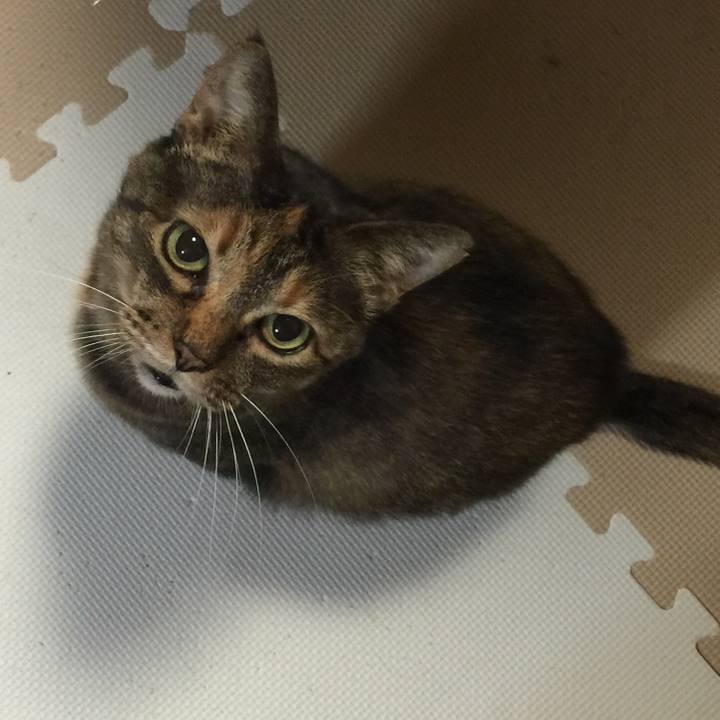 D735a18c 86c4 44d8 800e 65c09819511d