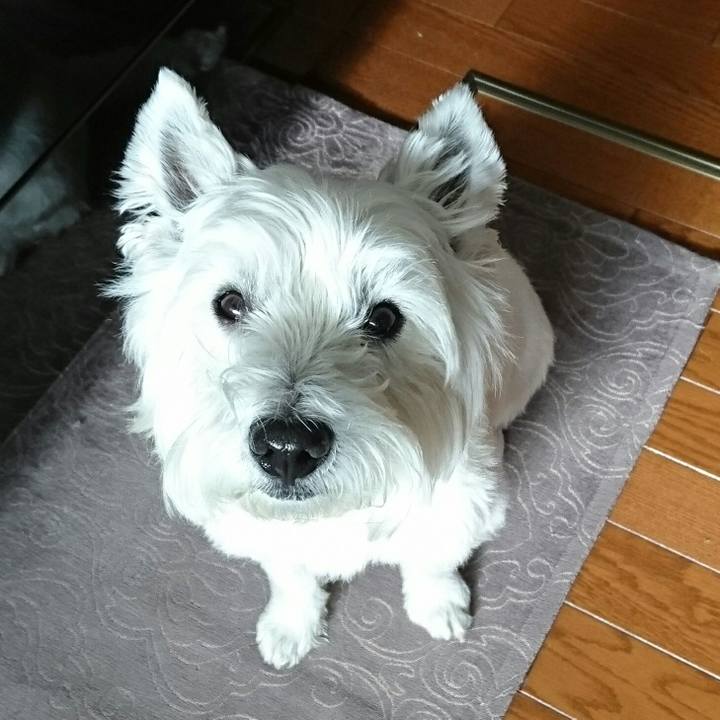 D735f354 429a 4e6c 8475 fc5e2a32a50f