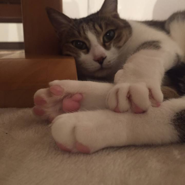 D735fc3a dfc9 49c5 a933 ba3655f1dbc1