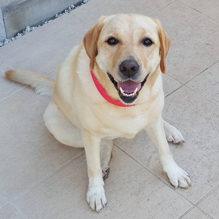 D7361b60 4c60 4461 b855 591ee69d0064