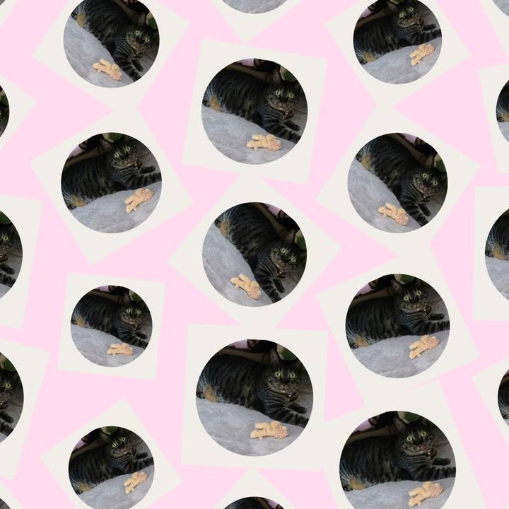 D73641a3 7072 4e77 9df1 d1b99941443f