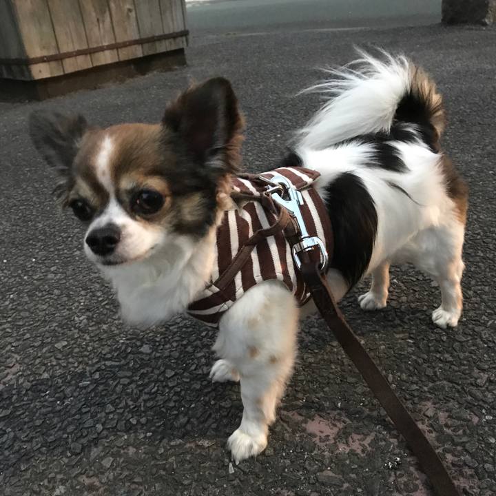 D7368e8d 8ccc 46c3 bb3f c67262952ba8