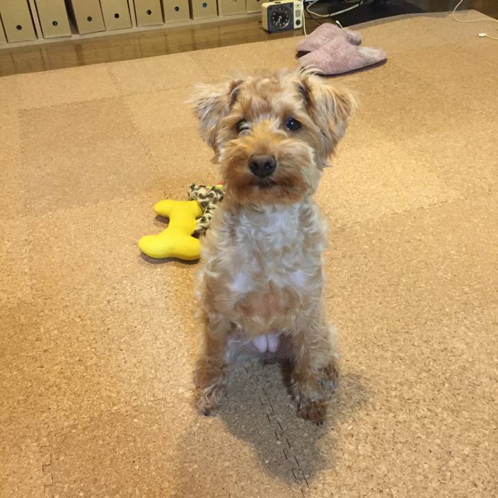 D7377b41 44c8 4eed b658 1a3cf221b36d