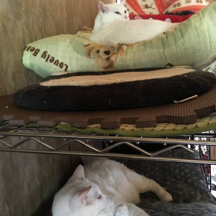 D7378056 0d3b 4e95 89b6 49abbf5ad7e7