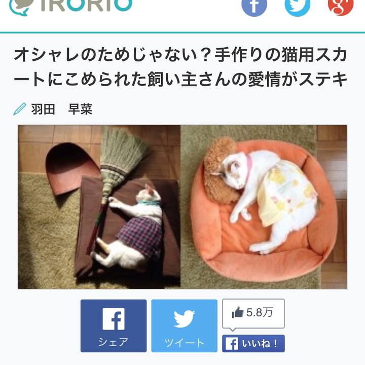 D738465c 1531 4313 9d60 9c1ca40d6fe2