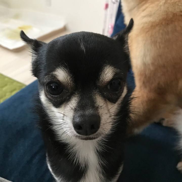 D73879e0 3ff7 439e 958a aeac88cf7e7d