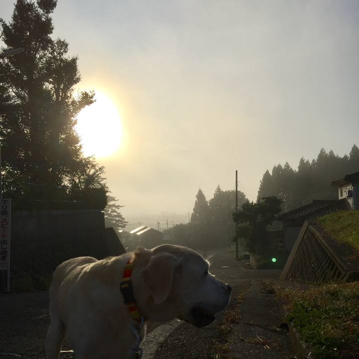 D738bba2 7a6f 42cf 895a 7297a095fc65