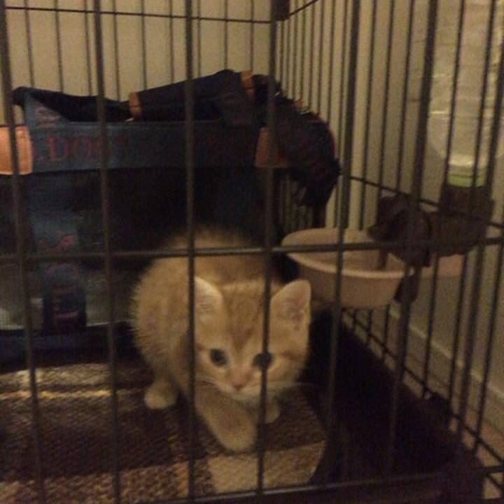 D73baf61 26a9 454e 8fa1 1d8f1b7a8921