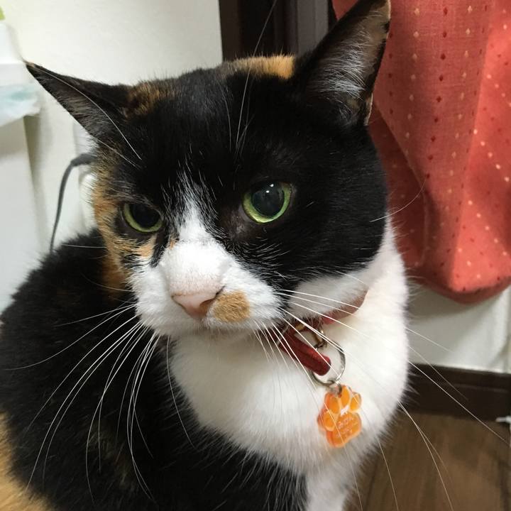 D73bbc93 0a59 4c93 8c1d 4d931b32d1e7