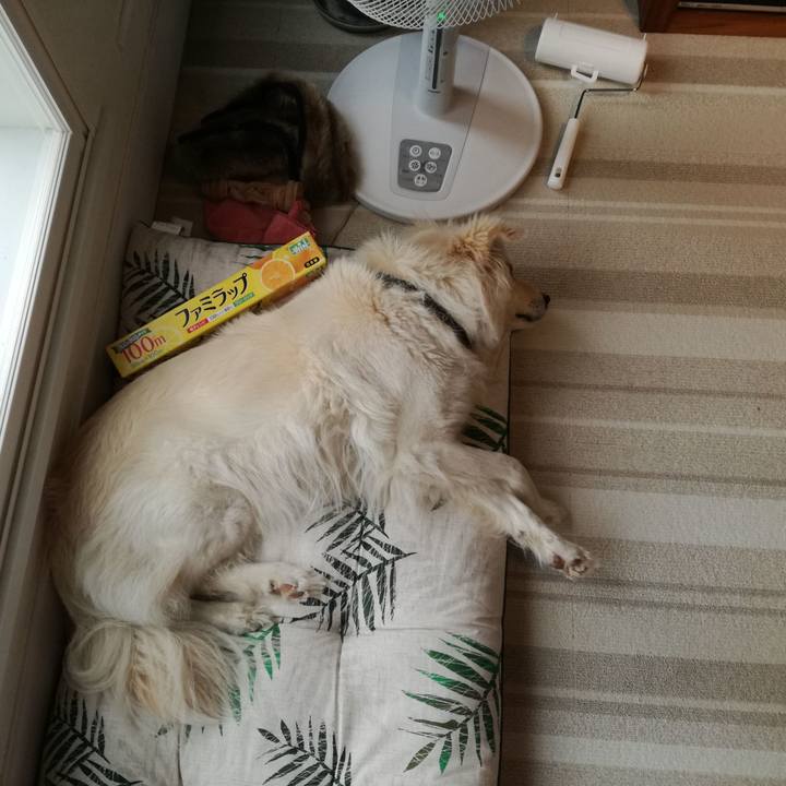 D73c135e 322b 4ac5 a271 8fef9dd6a83e