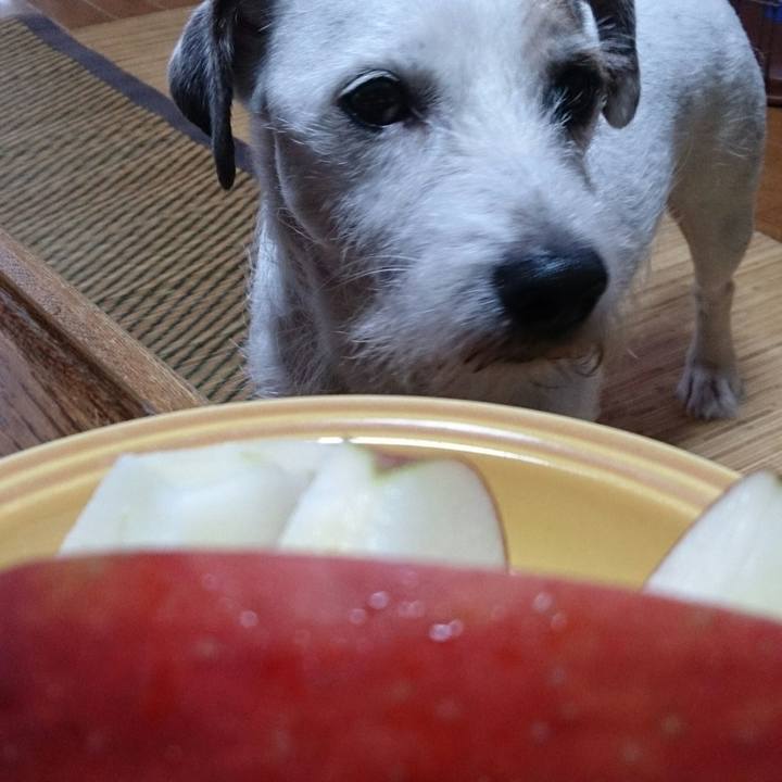 D73c4e5e 1e6a 4e40 8636 a20478ccb158