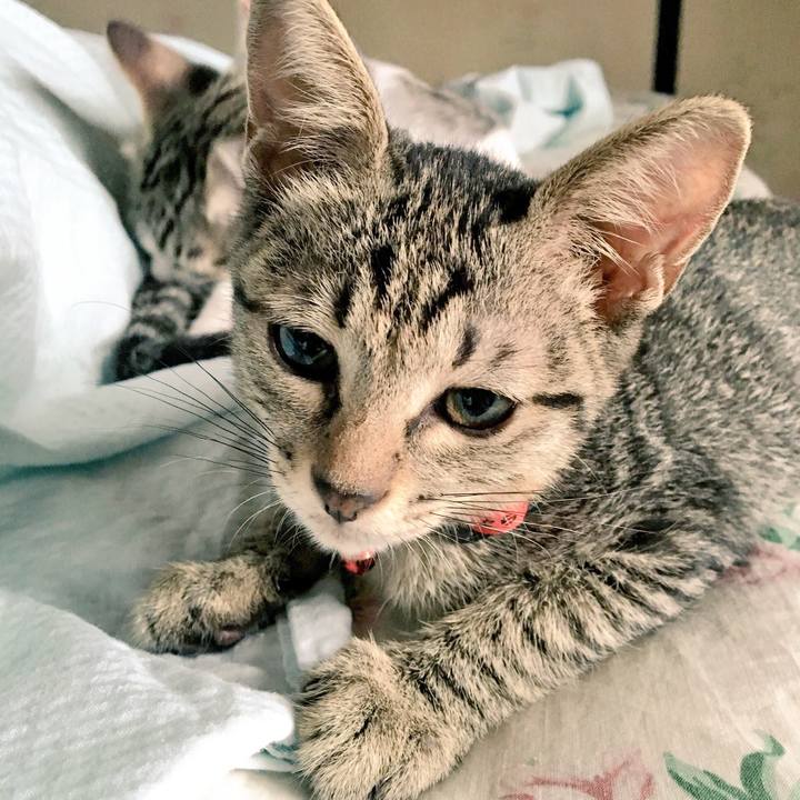 D73c826b 19c1 4f1b 9c8f 10289f7d7a26