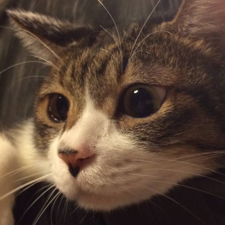 D73c8c53 7e56 40fc 822b f38d7c4c147d